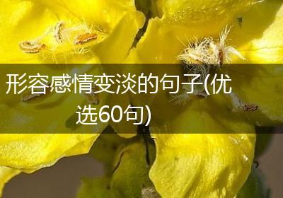 形容感情变淡的句子(优选60句)