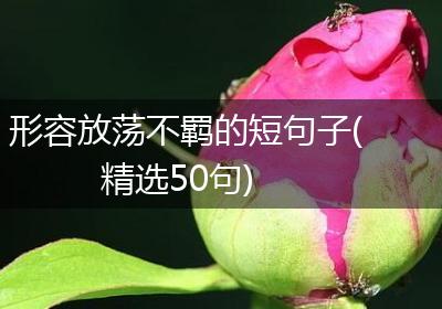 形容放荡不羁的短句子(精选50句)
