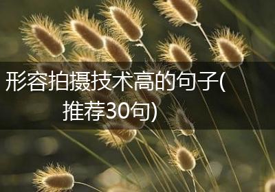 形容拍摄技术高的句子(推荐30句)
