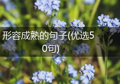 形容成熟的句子(优选50句)