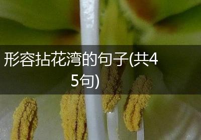 形容拈花湾的句子(共45句)