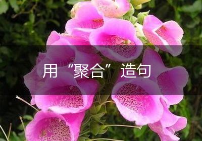 用“聚合”造句