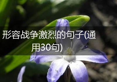 形容战争激烈的句子(通用30句)
