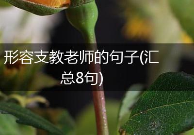 形容支教老师的句子(汇总8句)
