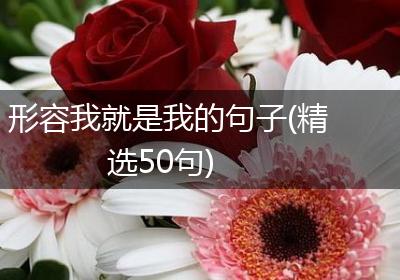 形容我就是我的句子(精选50句)