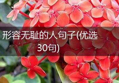 形容无耻的人句子(优选30句)
