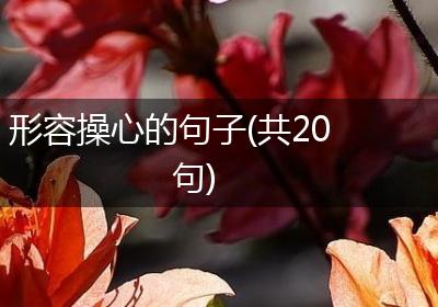 形容操心的句子(共20句)