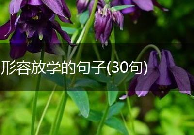 形容放学的句子(30句)