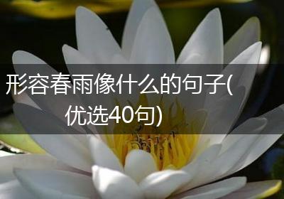 形容春雨像什么的句子(优选40句)
