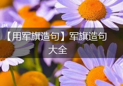 【用军旗造句】军旗造句大全