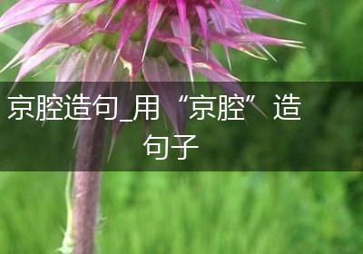 京腔造句_用“京腔”造句子