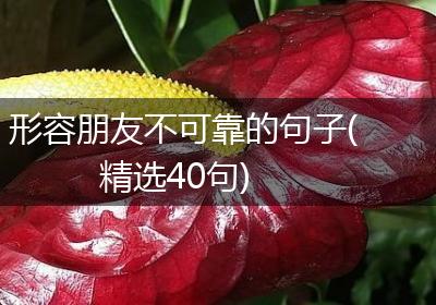 形容朋友不可靠的句子(精选40句)