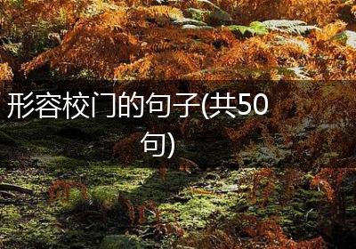 形容校门的句子(共50句)