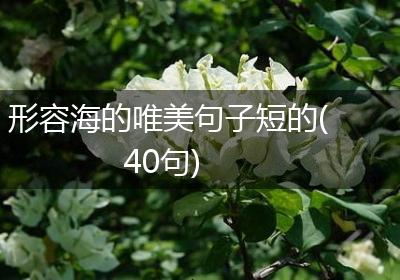 形容海的唯美句子短的(40句)
