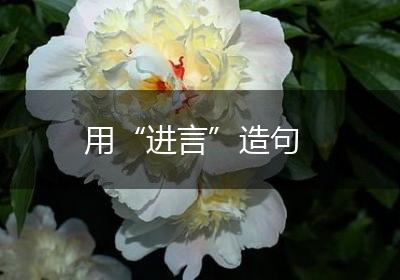用“进言”造句