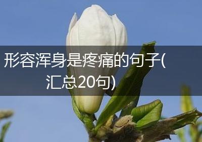 形容浑身是疼痛的句子(汇总20句)