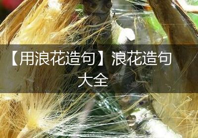 【用浪花造句】浪花造句大全