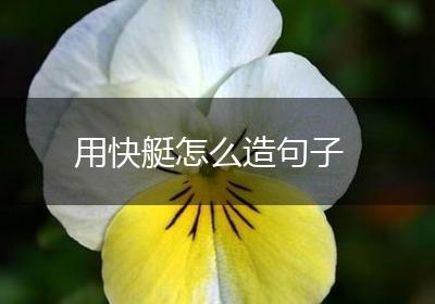 用快艇怎么造句子