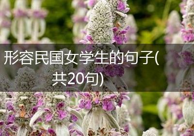 形容民国女学生的句子(共20句)