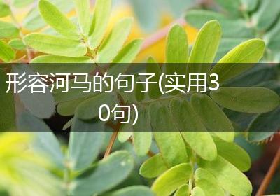 形容河马的句子(实用30句)