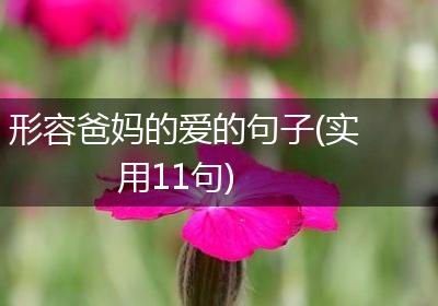 形容爸妈的爱的句子(实用11句)