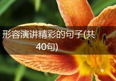 形容演讲精彩的句子(共40句)
