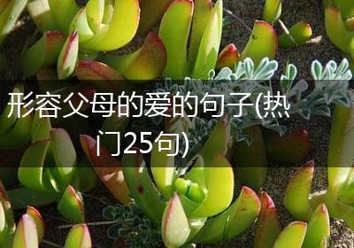 形容父母的爱的句子(热门25句)