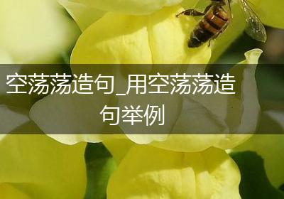 空荡荡造句_用空荡荡造句举例