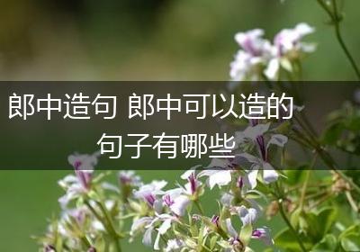 郎中造句 郎中可以造的句子有哪些