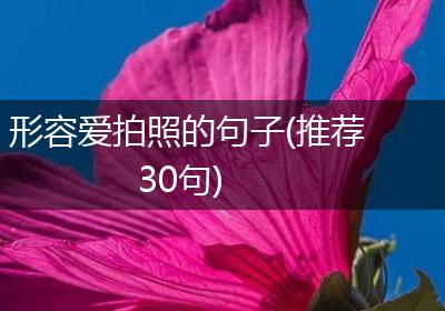 形容爱拍照的句子(推荐30句)