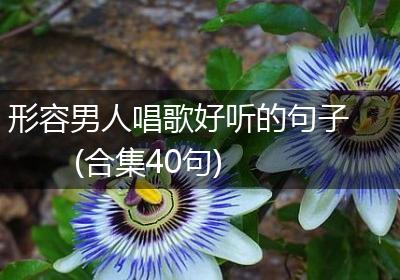 形容男人唱歌好听的句子(合集40句)