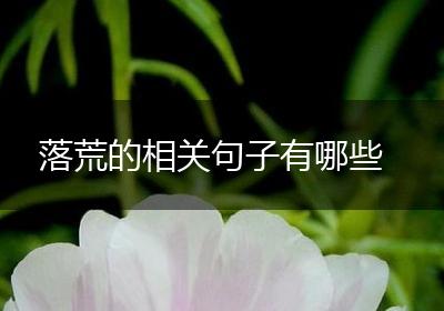 落荒的相关句子有哪些