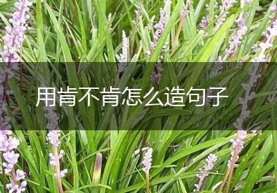 用肯不肯怎么造句子