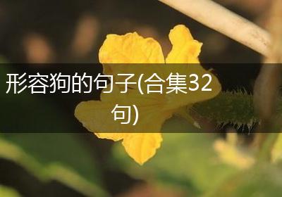 形容狗的句子(合集32句)