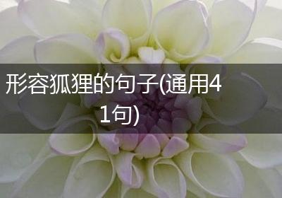 形容狐狸的句子(通用41句)