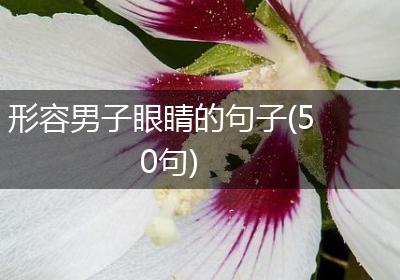 形容男子眼睛的句子(50句)