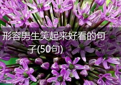 形容男生笑起来好看的句子(50句)