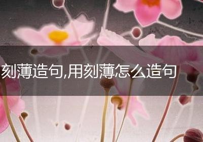 刻薄造句,用刻薄怎么造句