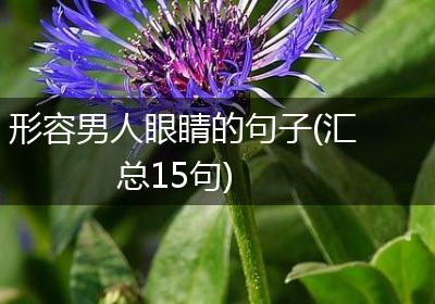 形容男人眼睛的句子(汇总15句)