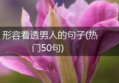 形容看透男人的句子(热门50句)