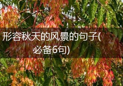 形容秋天的风景的句子(必备6句)
