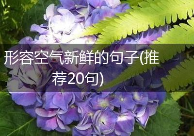 形容空气新鲜的句子(推荐20句)