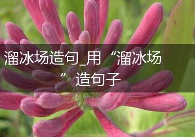 溜冰场造句_用“溜冰场”造句子