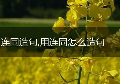 连同造句,用连同怎么造句