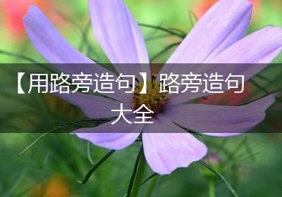 【用路旁造句】路旁造句大全