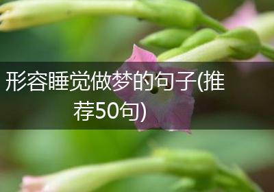 形容睡觉做梦的句子(推荐50句)