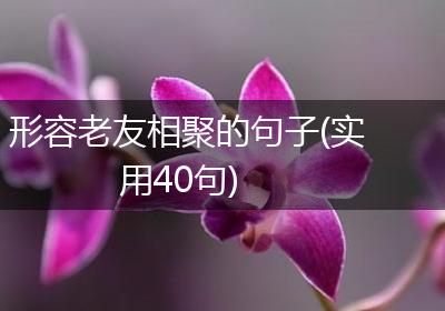 形容老友相聚的句子(实用40句)