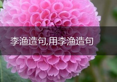 李渔造句,用李渔造句