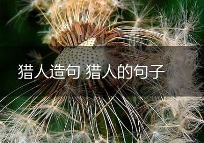 猎人造句 猎人的句子