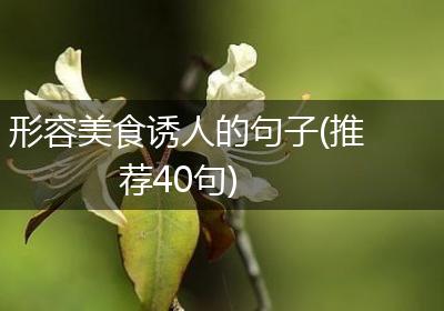 形容美食诱人的句子(推荐40句)